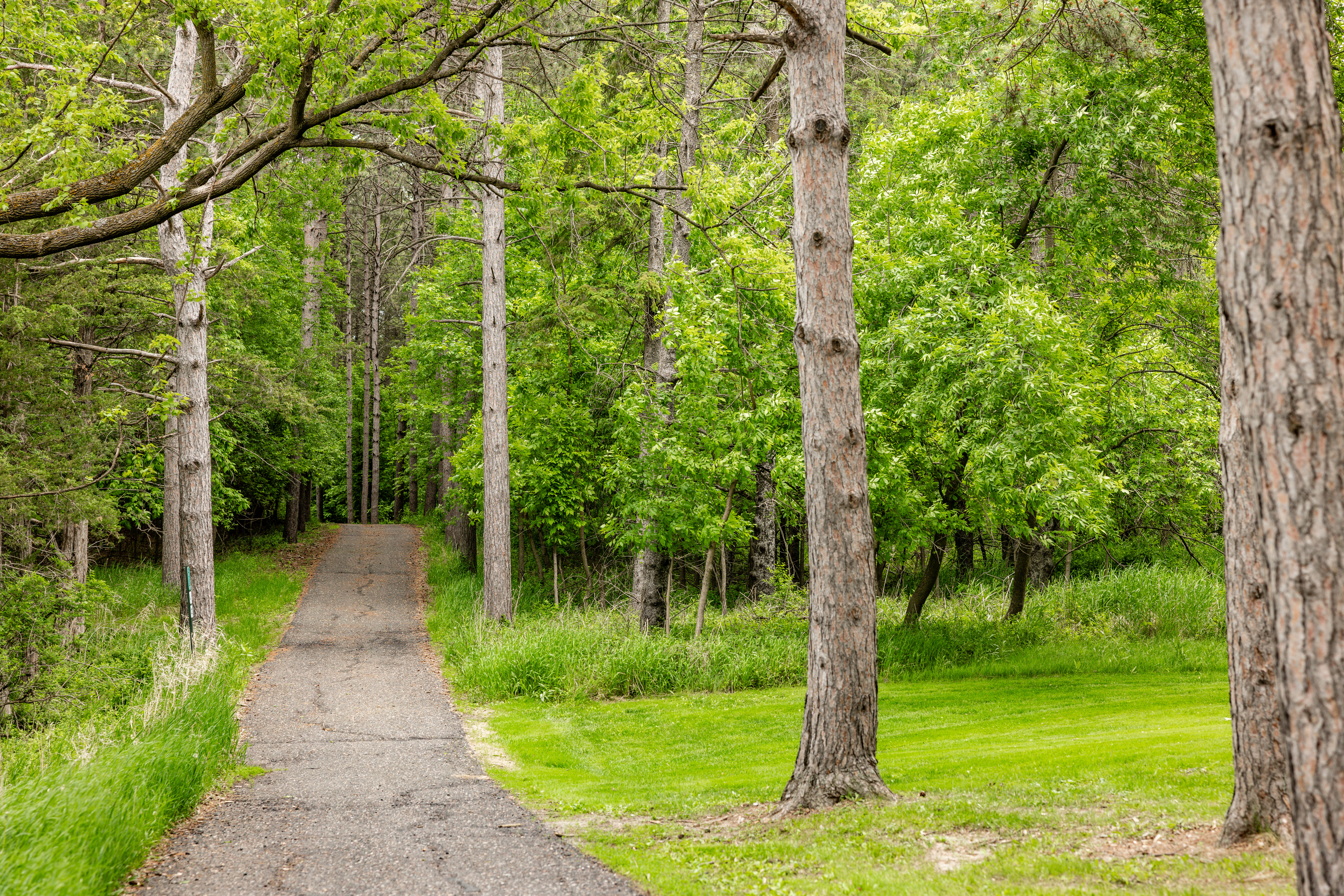 Walking Path