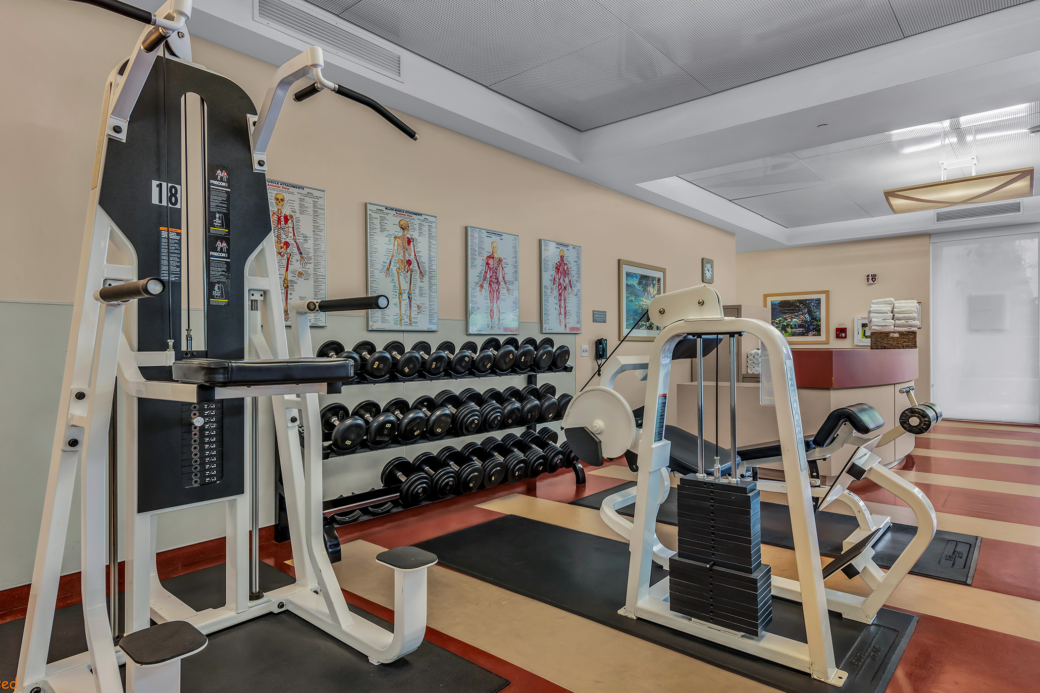 Inside a gym with weights and several exercise machines