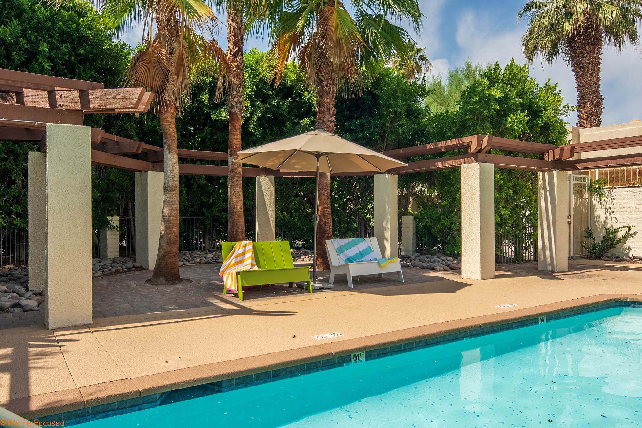 A view of the pool with palm trees, pool chairs and colorful towels