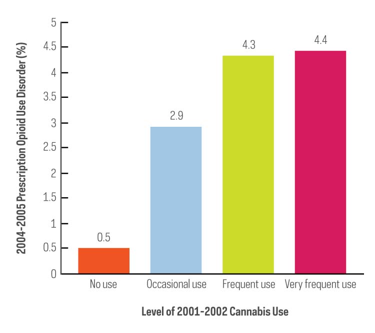 2004-2005 Prescription Opioid Use Chart